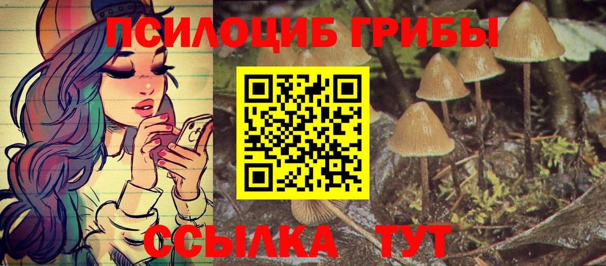 Псилоцибиновые грибы Cubensis  Вход с VPN  Славгород 